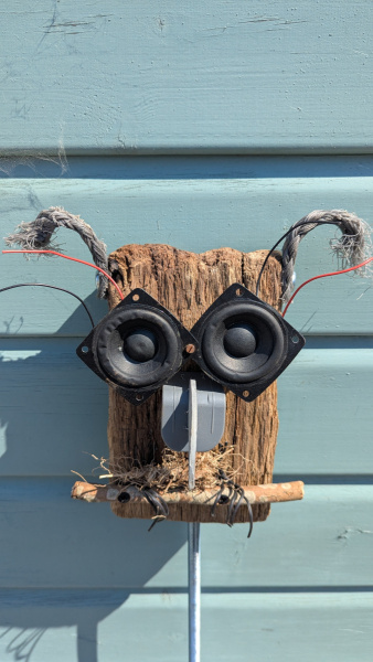 I-Hear-What-I-See