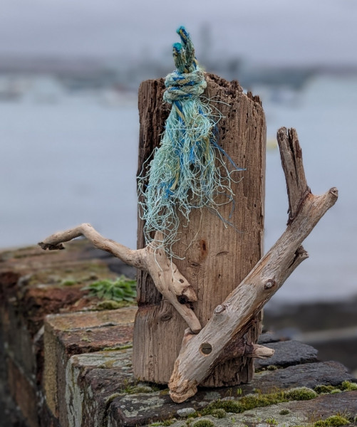 Seaweed-Drier